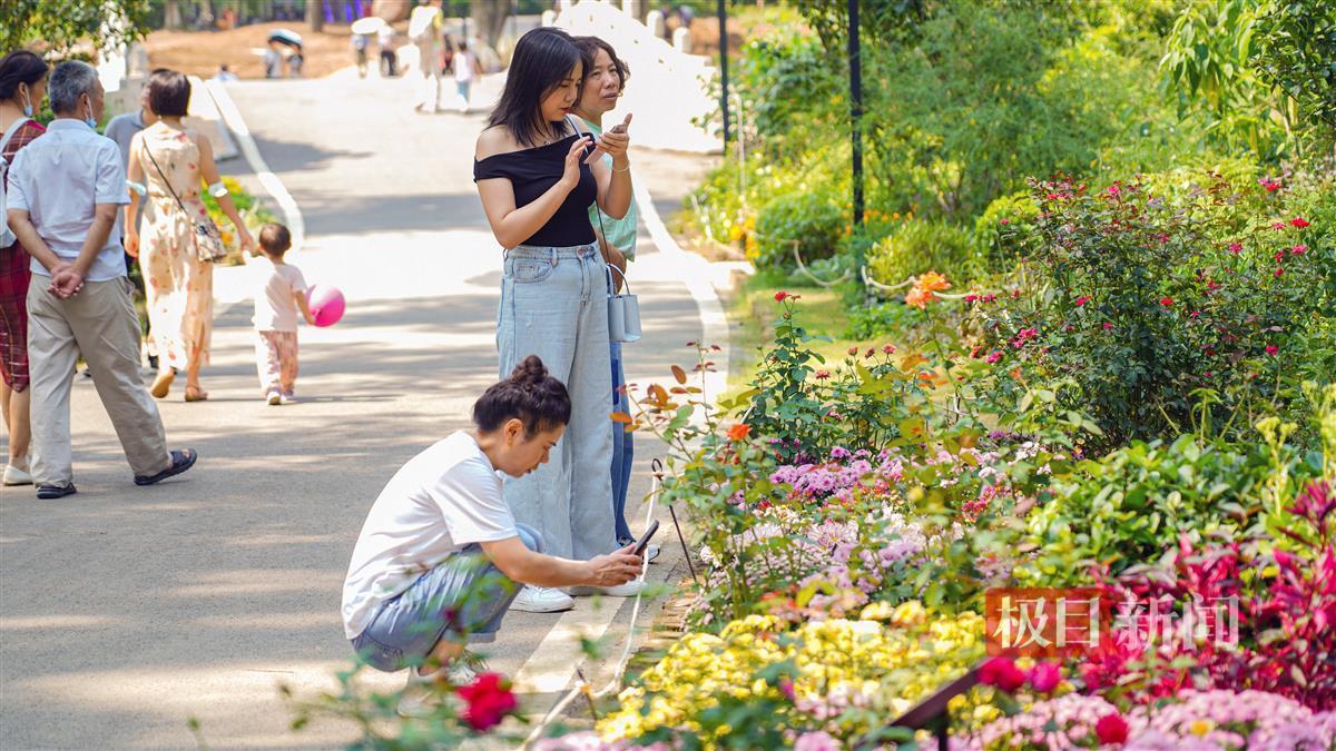 白菜体验金最新论坛
